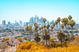 LA